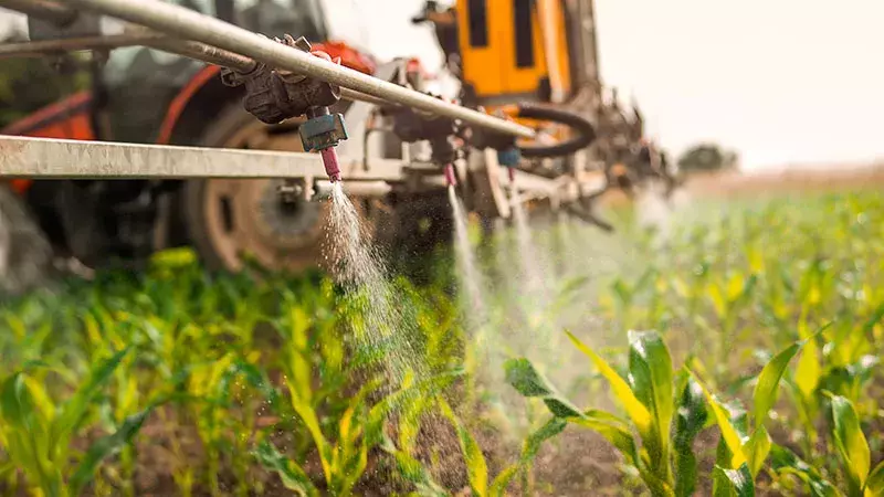 Les risques liés aux produits phytosanitaires