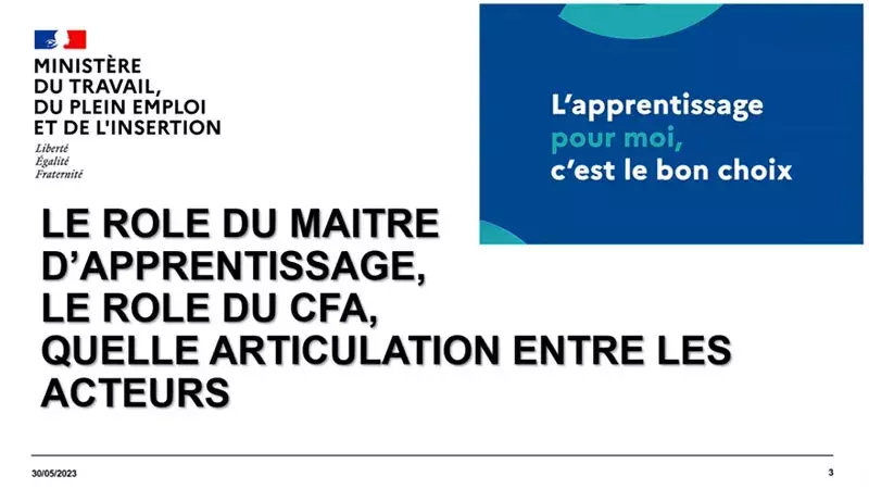 Le rôle du maître d’apprentissage, le rôle du CFA et l'articulation entre les acteurs : rediffusion des échanges