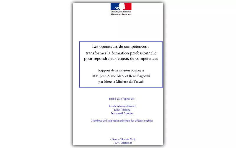 Rapport | Les opérateurs de compétences : transformer la formation professionnelle pour répondre aux enjeux de compétences