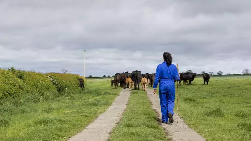 Ajout des métiers agricoles dans la liste des métiers en tension
