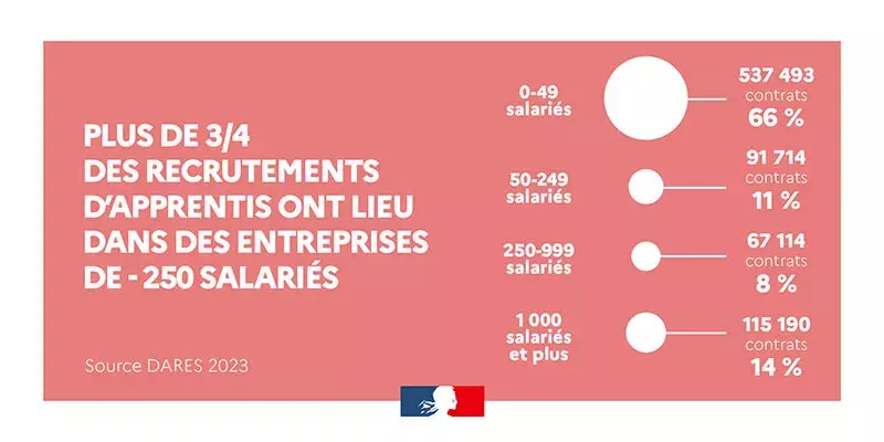 jpg/repartition-contrat---taille-d_entreprises.jpg